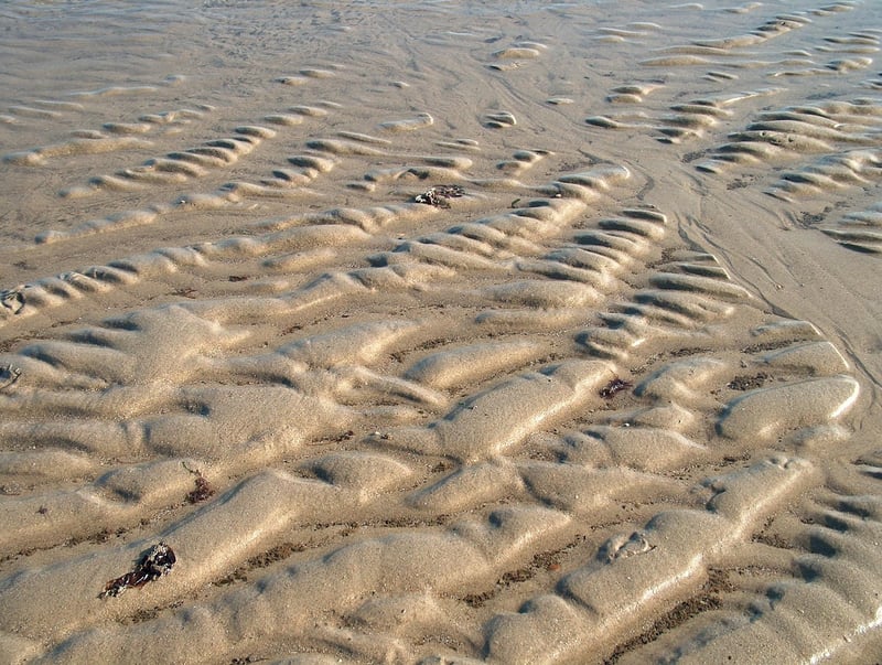 Extremophiles